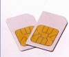 ASP - Aspergillen Chip Card
